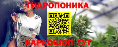 ГАЛЛЮЦИНОГЕННЫЕ ГРИБЫ Кандалакша