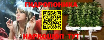 скорость Камышлов