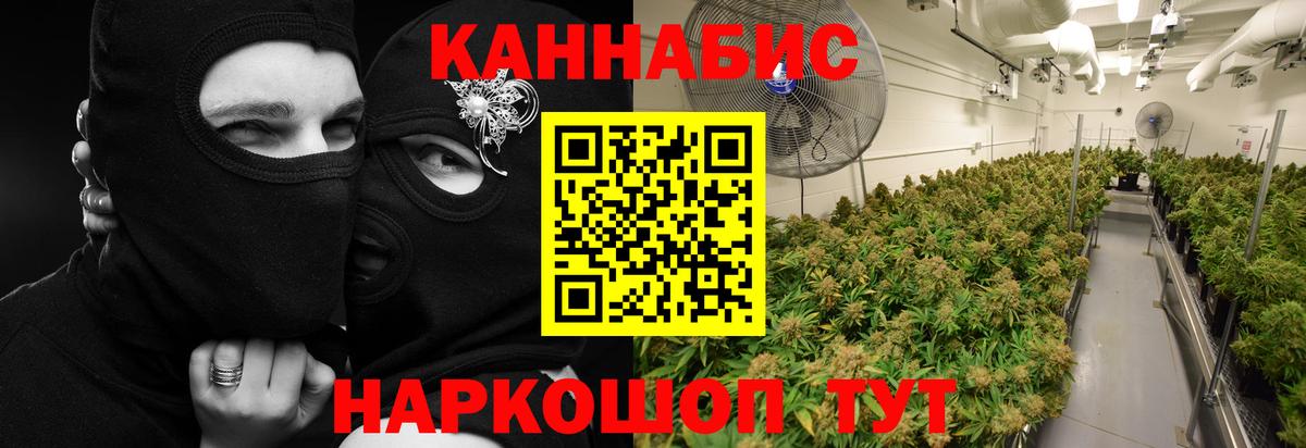 Конопля Котовск